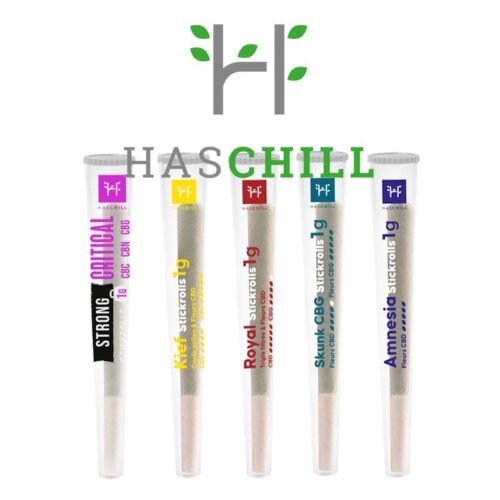 Stickrolls CBD Haschill Pre Rolls 1g Joint naturel relaxant