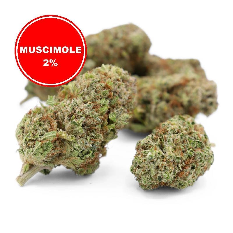 Muscimole 2% Fleur CBD à effets psychoactifs retardés