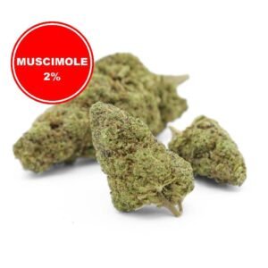 Muscimole 2% Fleur CBD à effets psychoactifs retardés