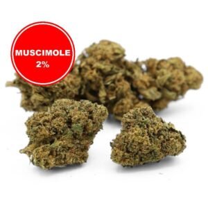Muscimole 2% Fleur CBD à effets psychoactifs retardés
