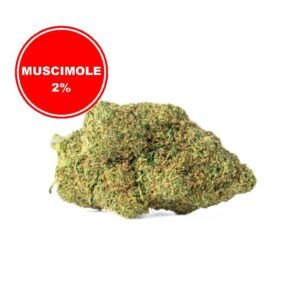 Muscimole 2% Fleur CBD à effets psychoactifs retardés