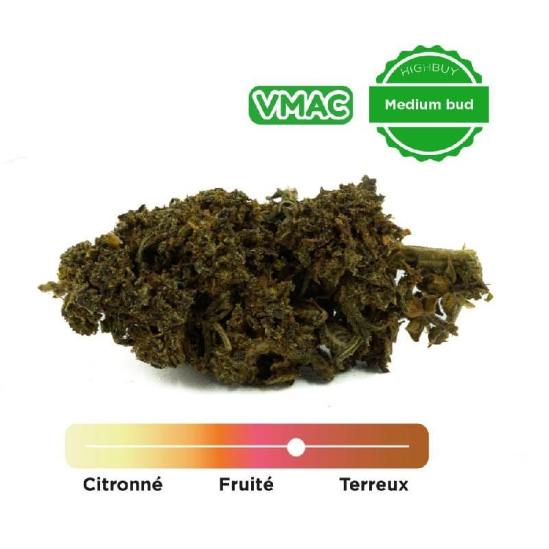 Vmac Amnésia Fleur cbd Greenhouse