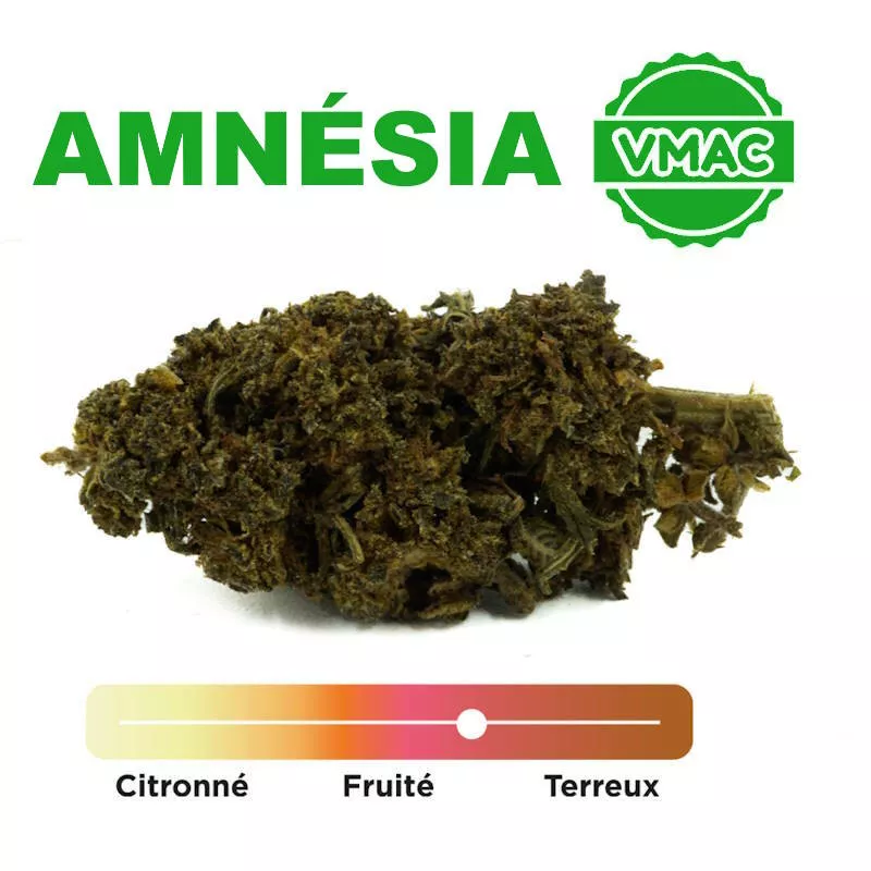 Vmac Amnésia Fleur cbd Greenhouse
