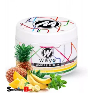 Ways goût chicha fibre de cellulose free tabac free nicotine 200g