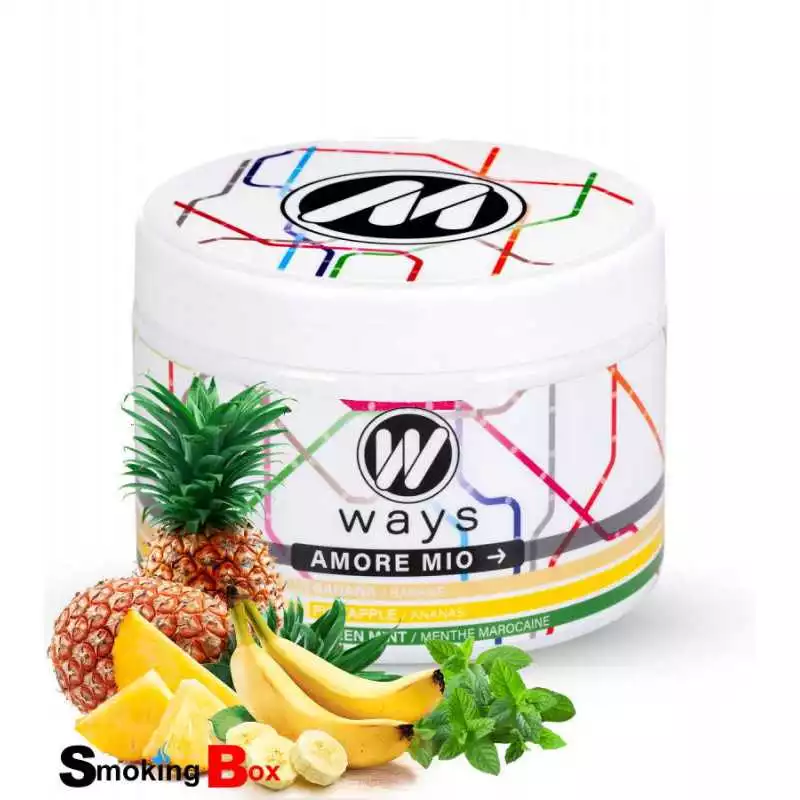 Ways goût chicha fibre de cellulose free tabac free nicotine 200g