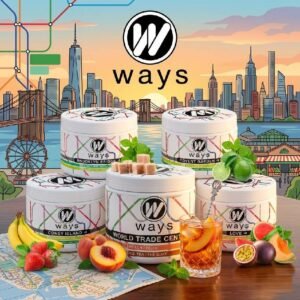 Ways goût chicha fibre de cellulose free tabac free nicotine 200g