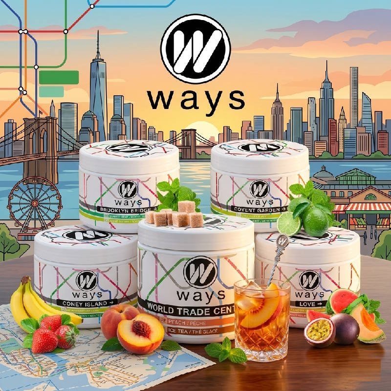 Ways goût chicha fibre de cellulose free tabac free nicotine 200g