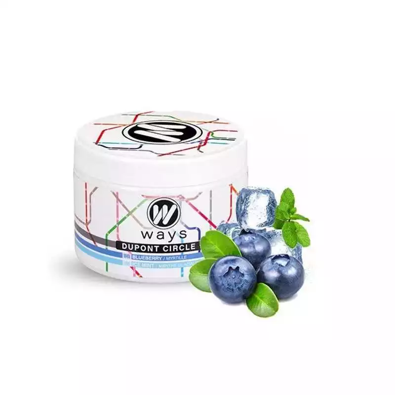 Ways goût chicha fibre de cellulose free tabac free nicotine 200g