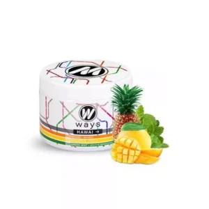 Ways goût chicha fibre de cellulose free tabac free nicotine 200g