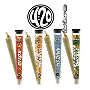 Joint CBD 420 pré-roulé de Fleurs (CBN THC) Bud Sense KS 1g