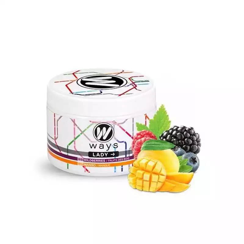 Ways goût chicha fibre de cellulose free tabac free nicotine 200g