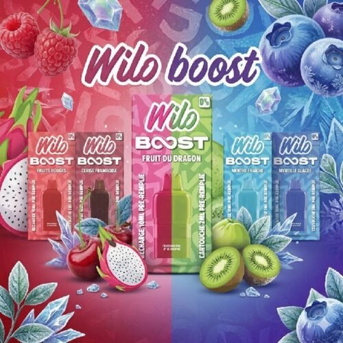 Pod recharge WILO BOOST 2+10ml 12K