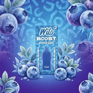 Pod recharge WILO BOOST 2+10ml 12K