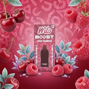 Pod recharge WILO BOOST 2+10ml 12K