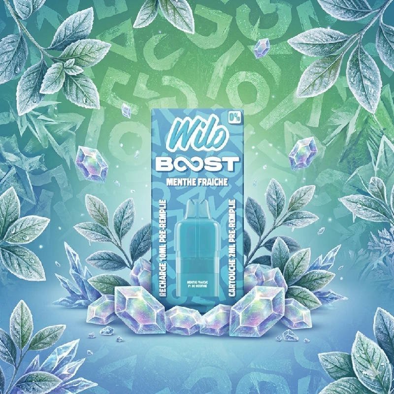 Pod recharge WILO BOOST 2+10ml 12K