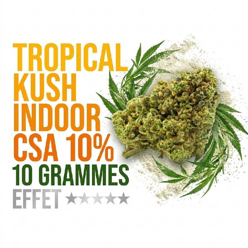 Fleur Tropical Kush CSA 10% exotique Indoor