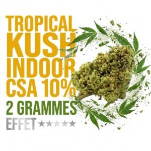 Fleur Tropical Kush CSA 10% exotique Indoor