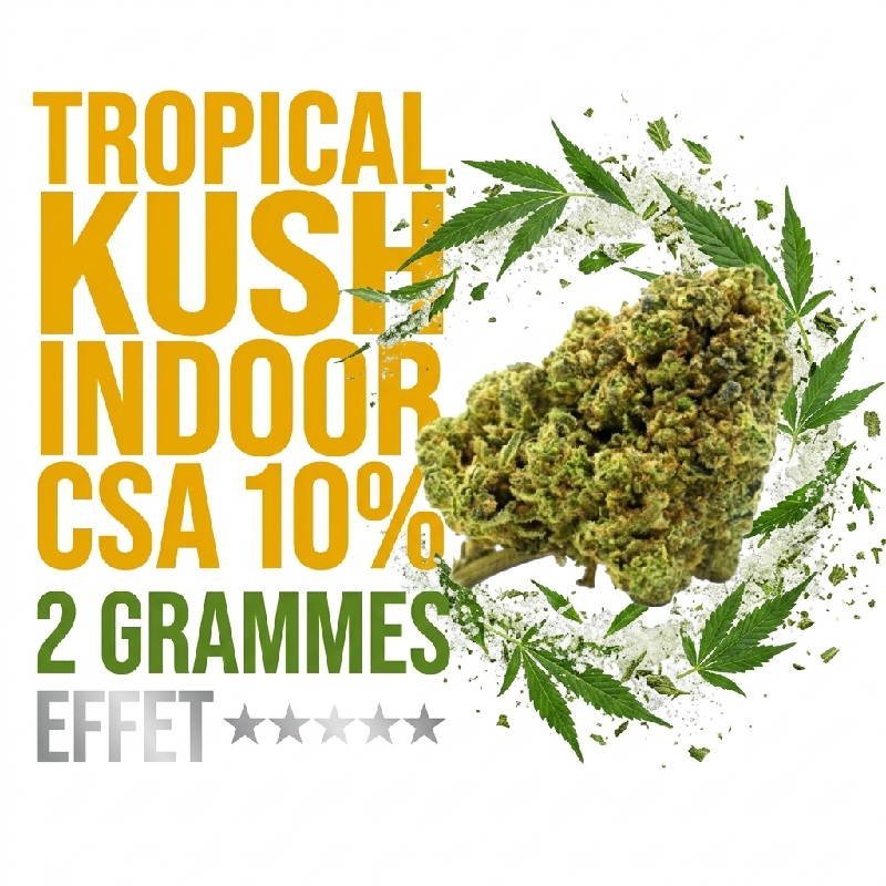 Fleur Tropical Kush CSA 10% exotique Indoor