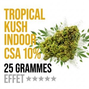 Fleur Tropical Kush CSA 10% exotique Indoor